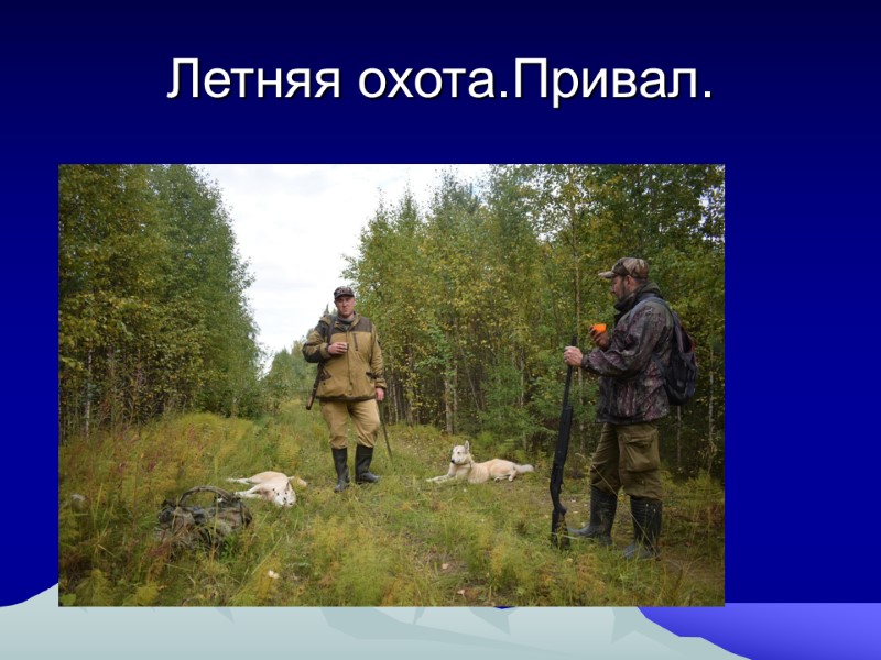 Летняя охота.Привал.